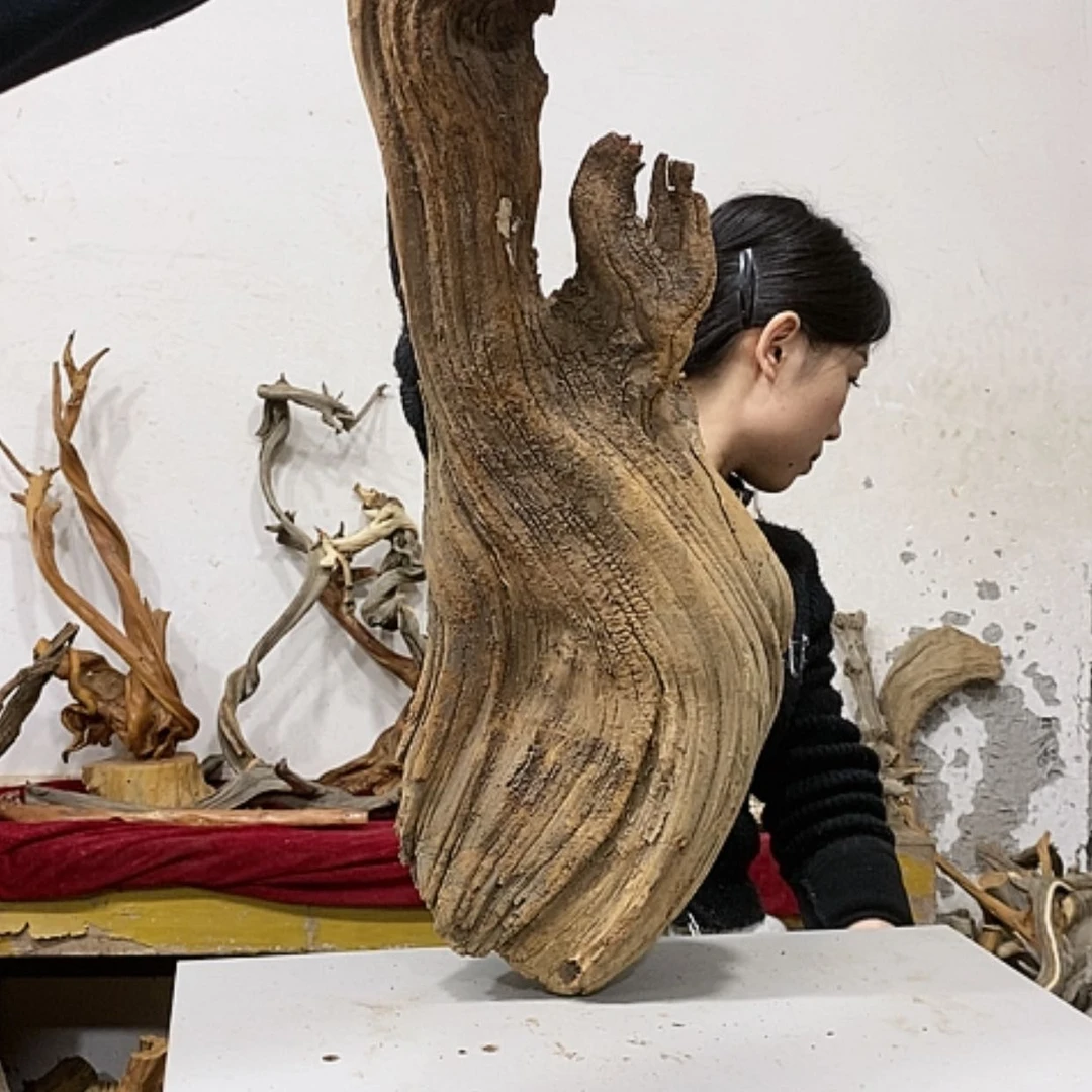 【闪购商品】柏木正****馆我们都是好孩子