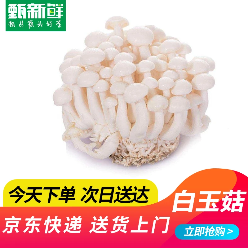 ④⑦白玉菇140g±10g京东包邮次日达新鲜白玉菇