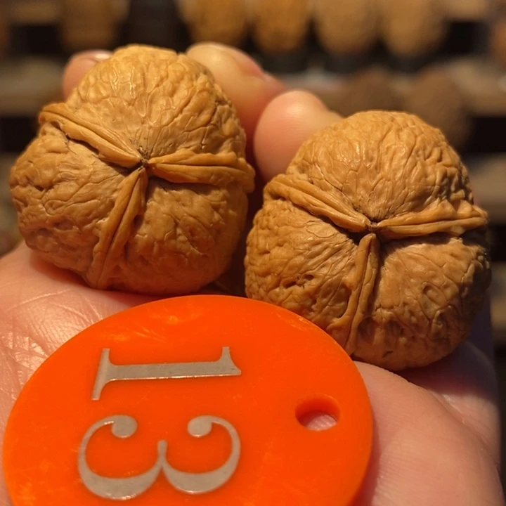 木质类富贵三棱31尺寸