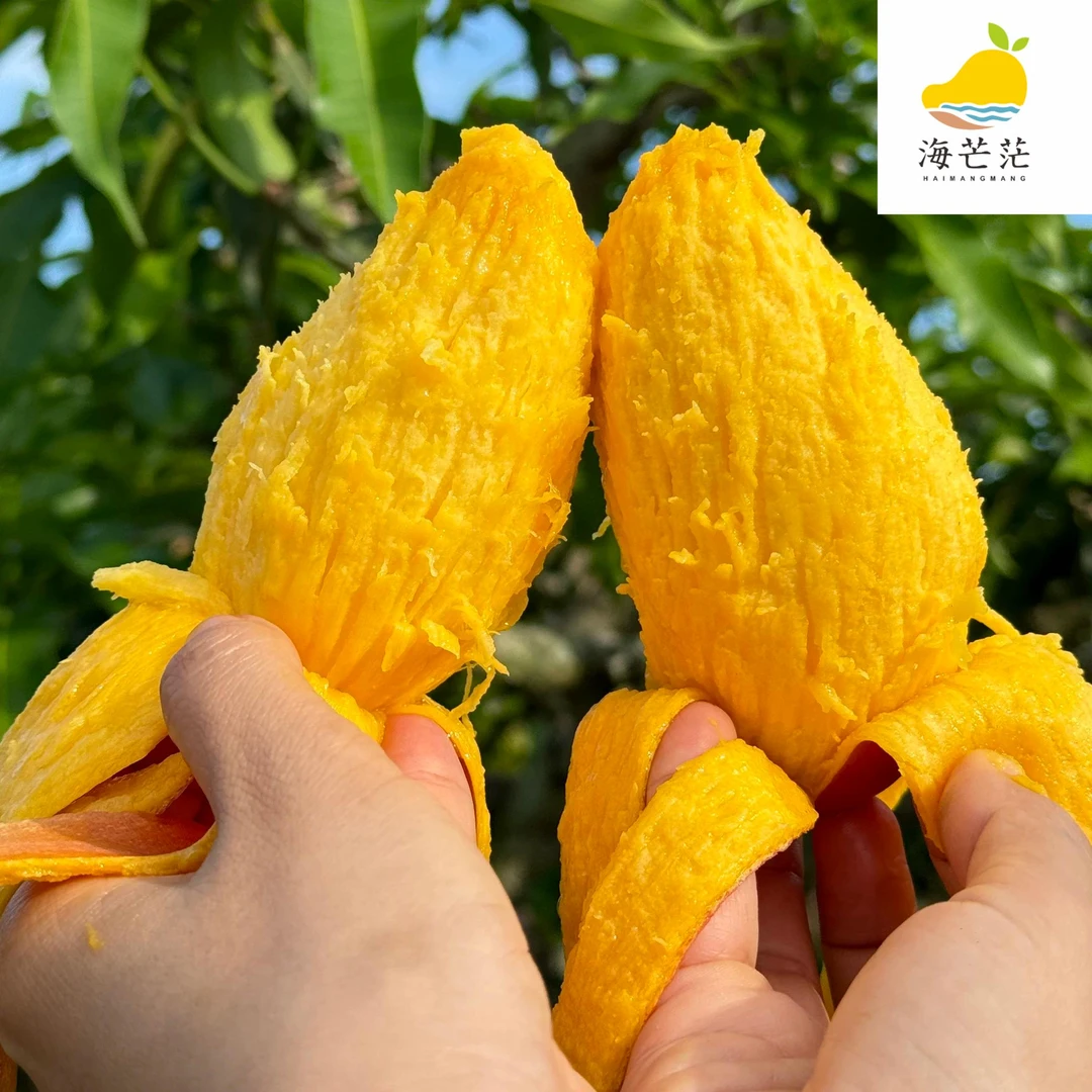 “海芒茫”海南贵妃芒当季时令新鲜芒果大果甜心芒产地直发