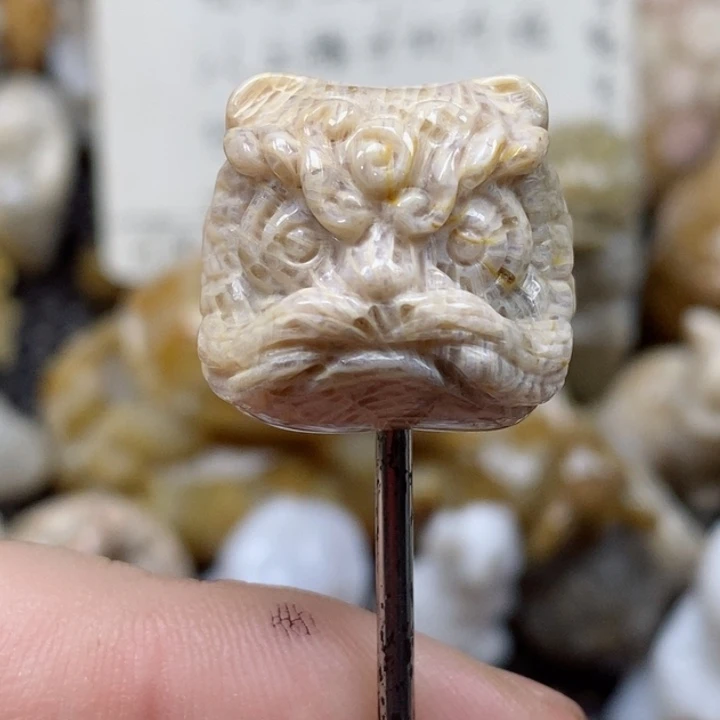 颈饰未镶嵌硅化珊瑚（珊瑚玉）