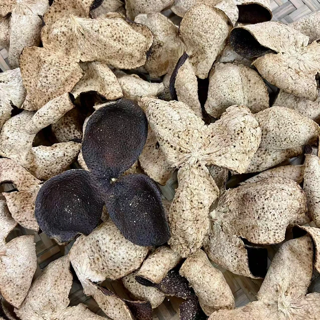 【东甲稀缺老皮】2016东甲牛肶围原枝大红皮