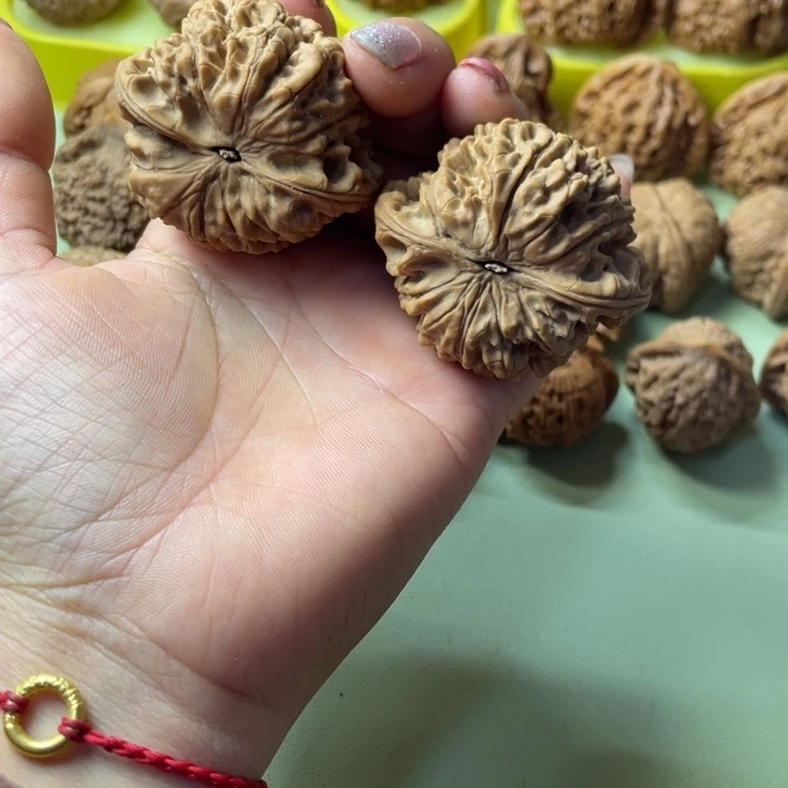 会***头手串/手链核桃原树核桃龙顶官帽