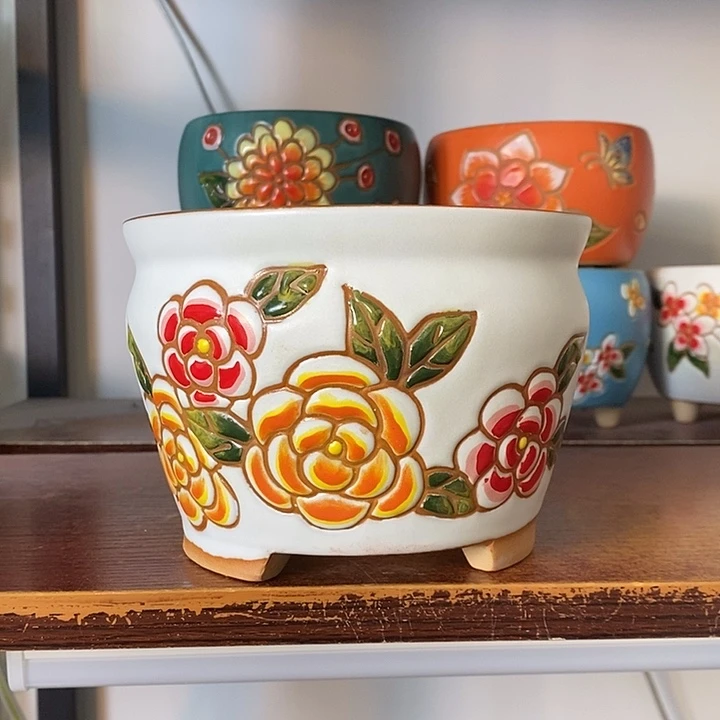 韩式多肉植物花盆