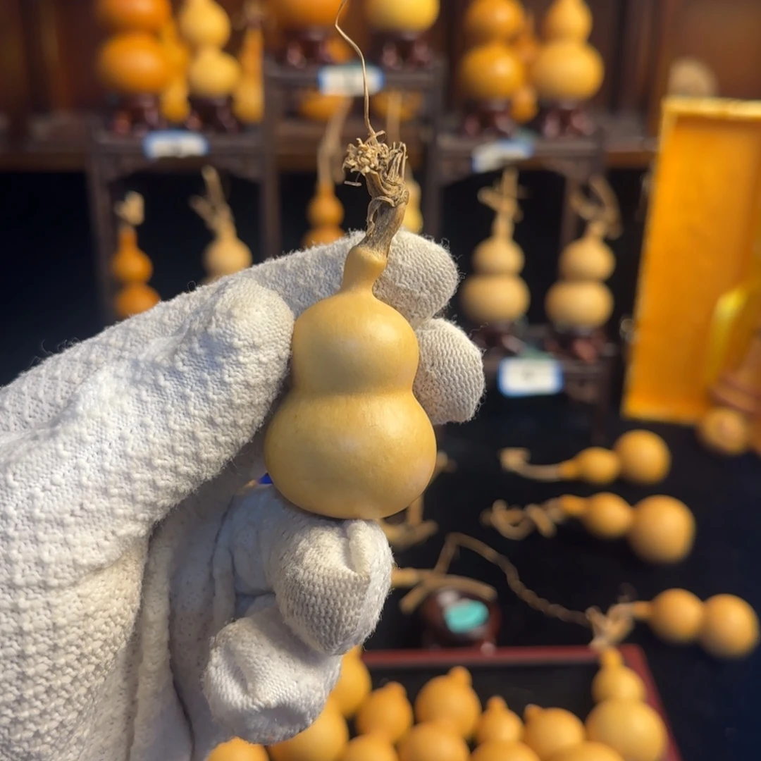 小***侠葫芦头的做法是用来做