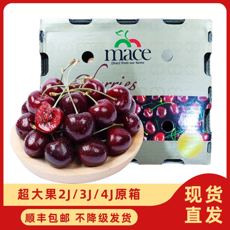 11.30日【原箱5斤】智利空运进口桑提娜车厘子应季水果脆甜2J-4J大樱桃 XX（内附果径卡）桑提娜智利共和国