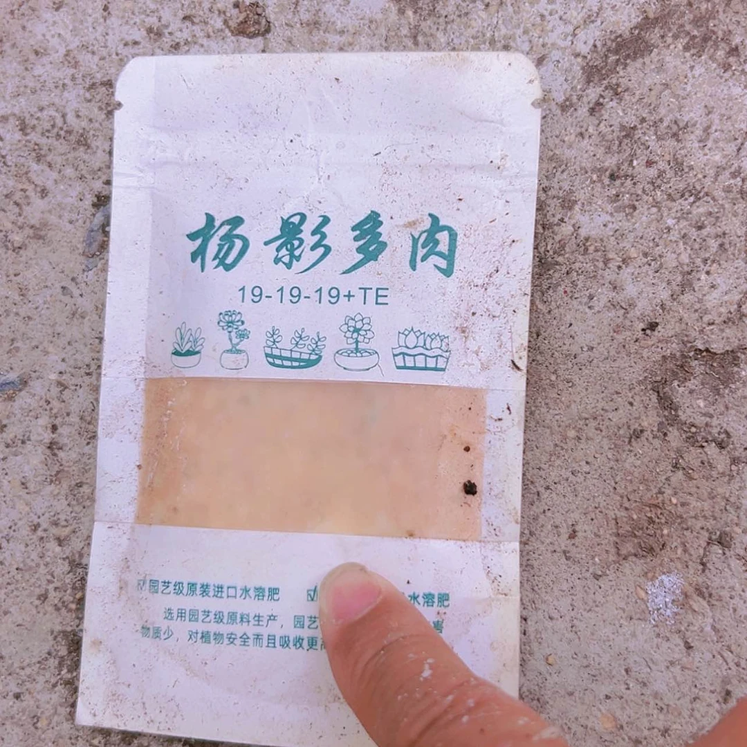 【闪购商品】实验包2包