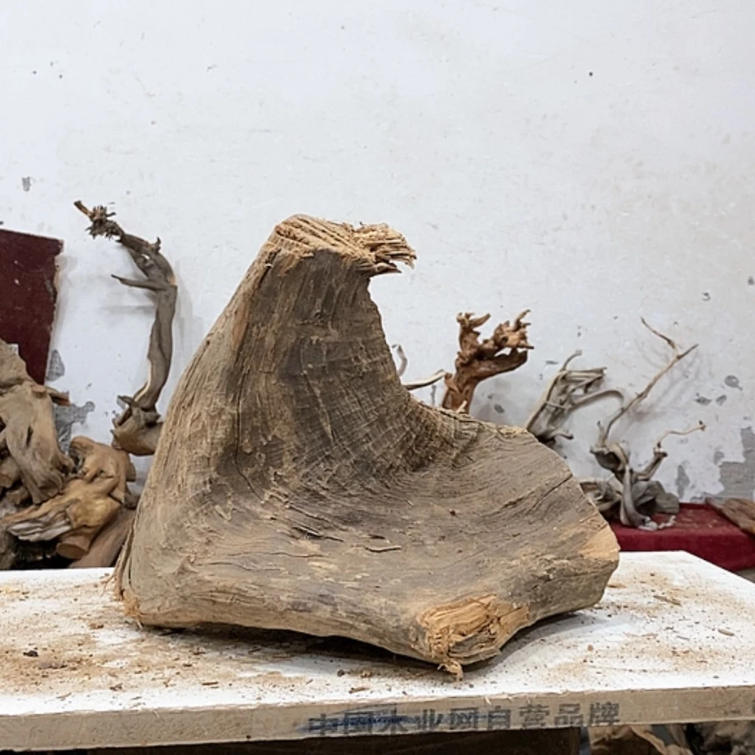 【闪购商品】柏木天*我们都