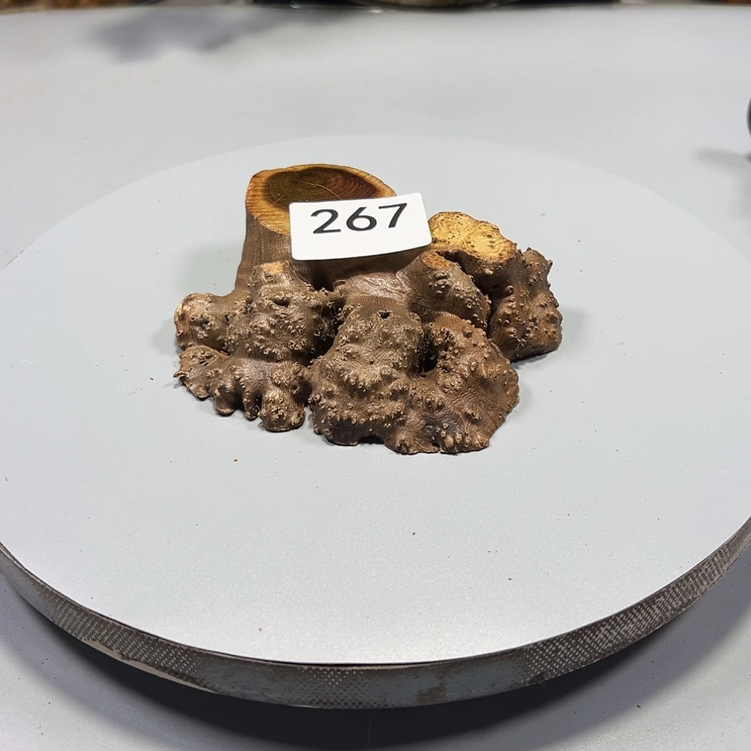 大果紫檀（缅甸花梨）好*