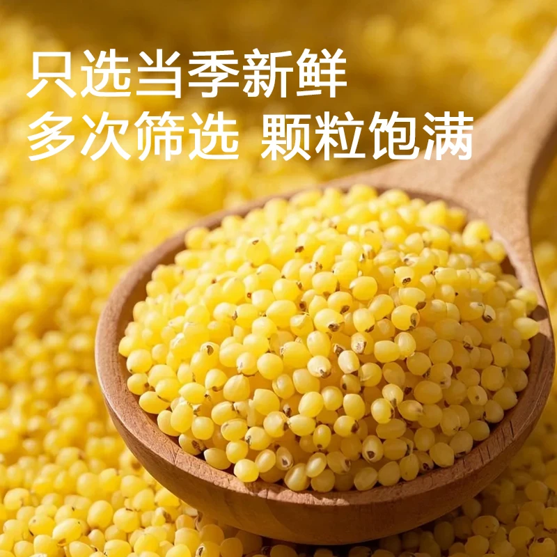 山西黄小米新米熬粥米油丰富优质农家杂粮无糖2500g