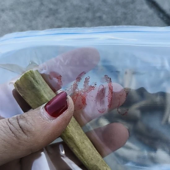 用***2鹿角鹿角鹿角鹿角鹿角鹿角