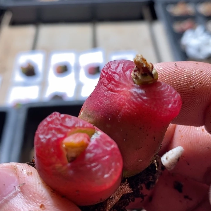 不**波21218一个一个一个