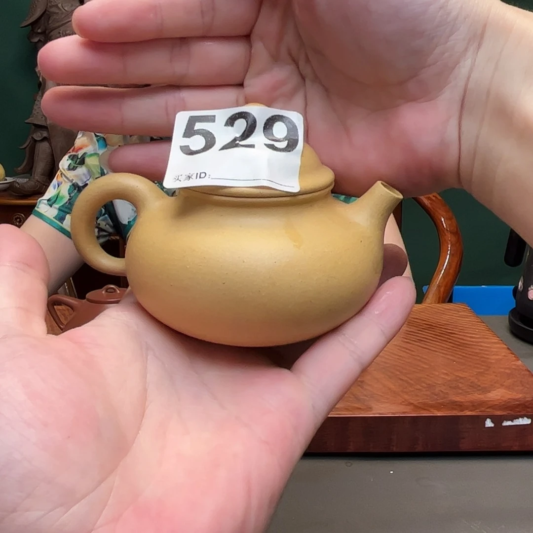 紫砂茶宠紫砂壶529