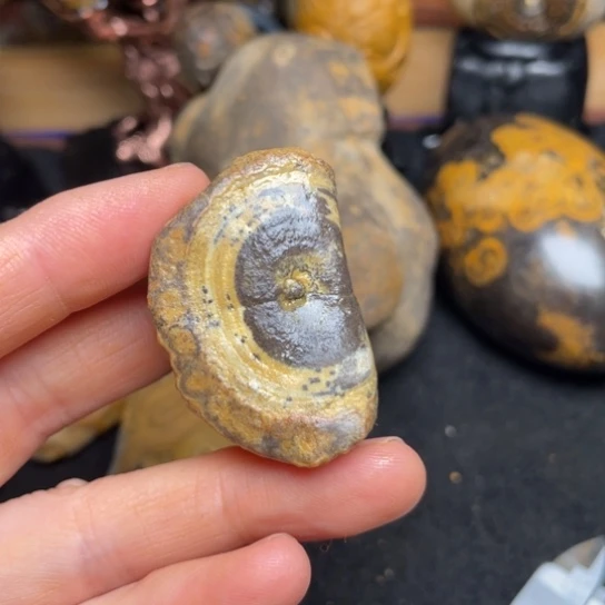 石材纯天然奇石原石60