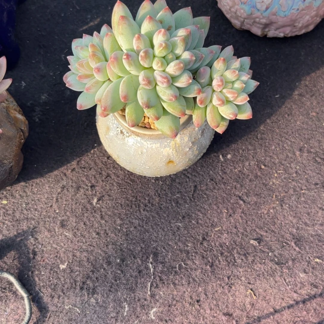 江***～1111111111111111111