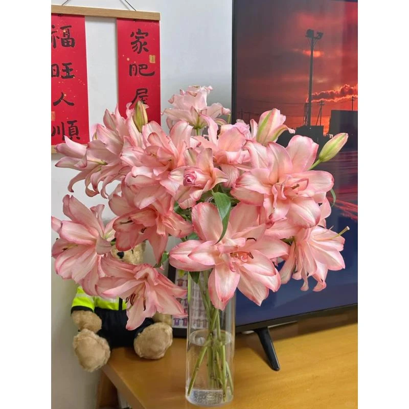 多头布朗尼吸色重瓣百合-以直播间展示为准