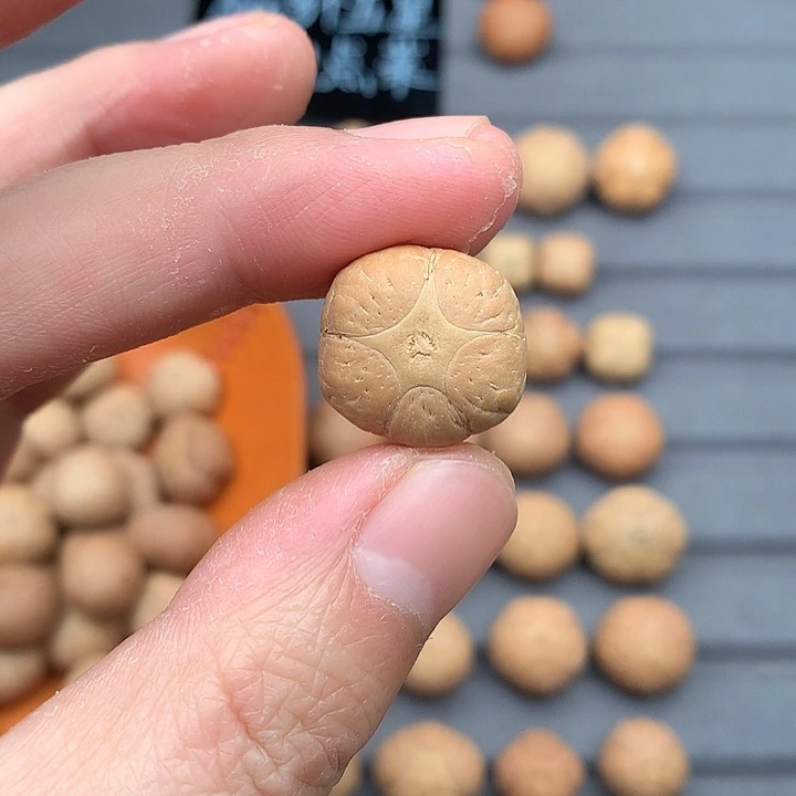 吊坠凤眼菩提19+五星，非质量问题开孔不退