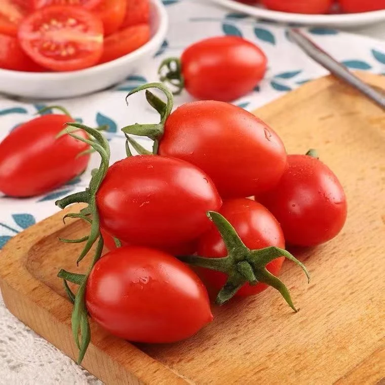 圣女果250g左右贝贝小番茄山东省