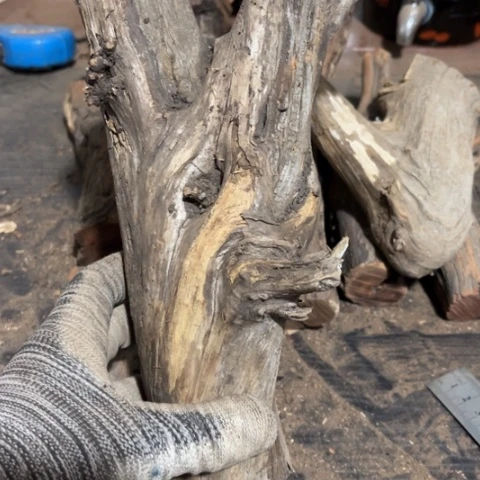 黑***队大果紫檀（缅甸花梨）