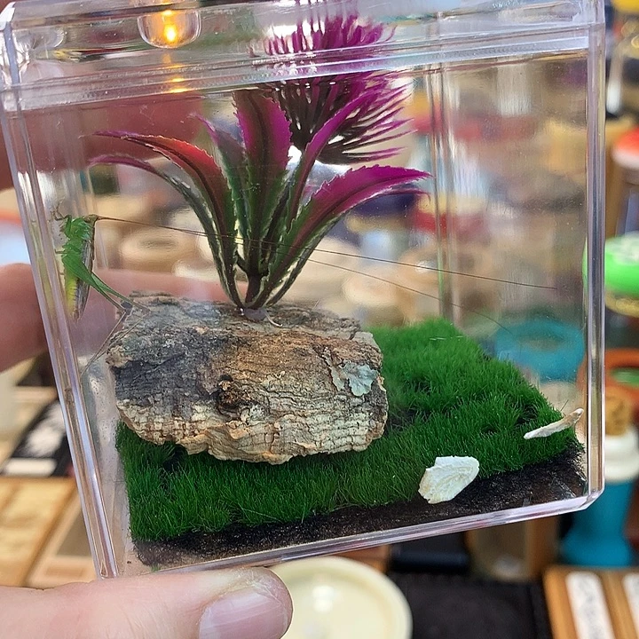 糖果套装啊啊啊啊啊啊