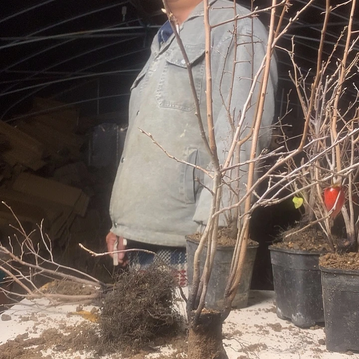 生***此无花朵老鸦的眼睛