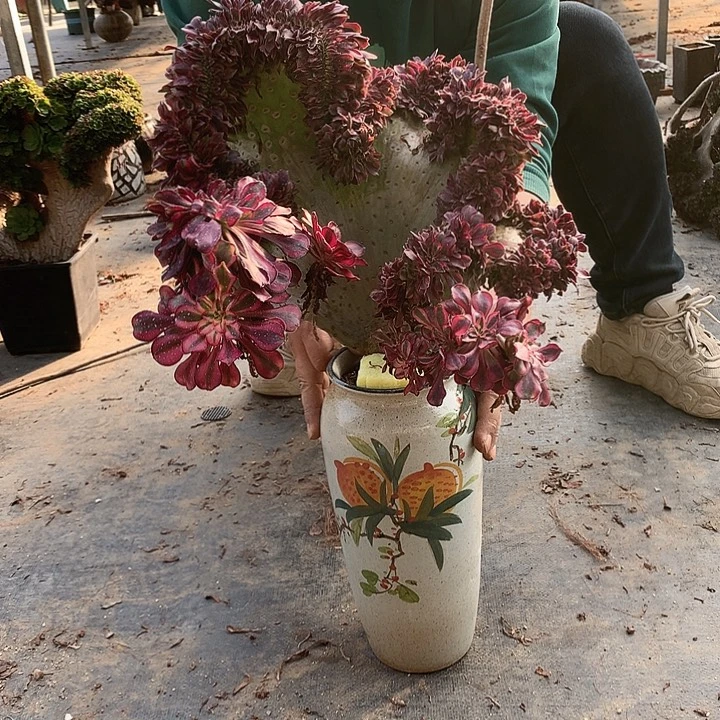 赫***利香奈儿朵朵脱土带保温