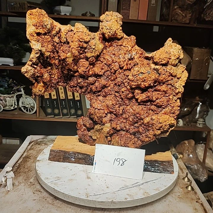 松木橄*树198号北沉香琥珀木天然造型