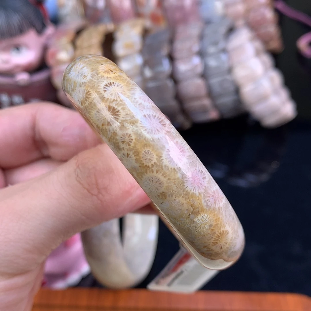 【闪购商品】颈饰未镶嵌硅化珊瑚（珊瑚玉）16号53.1圈半壁江山