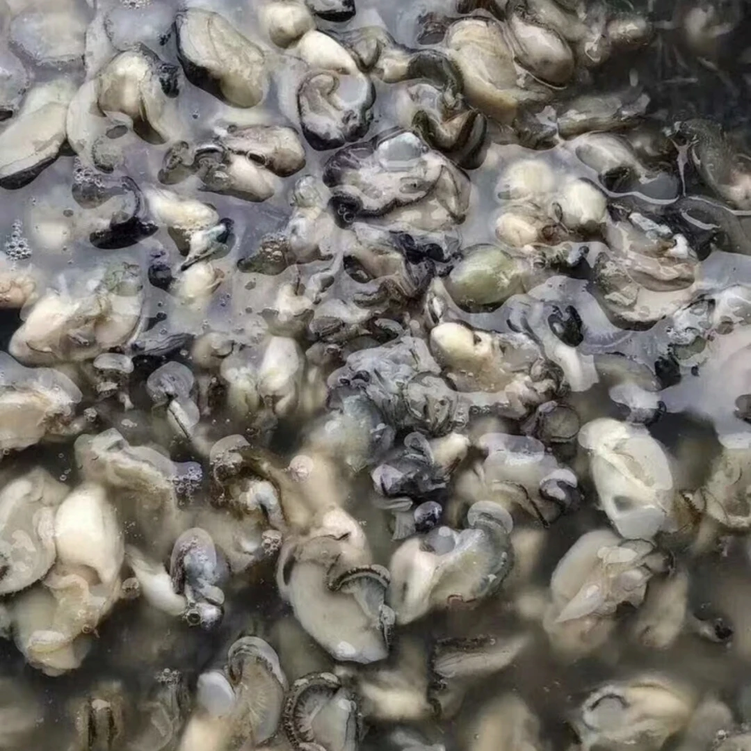 莆田本地现开海蛎正宗家乡味
