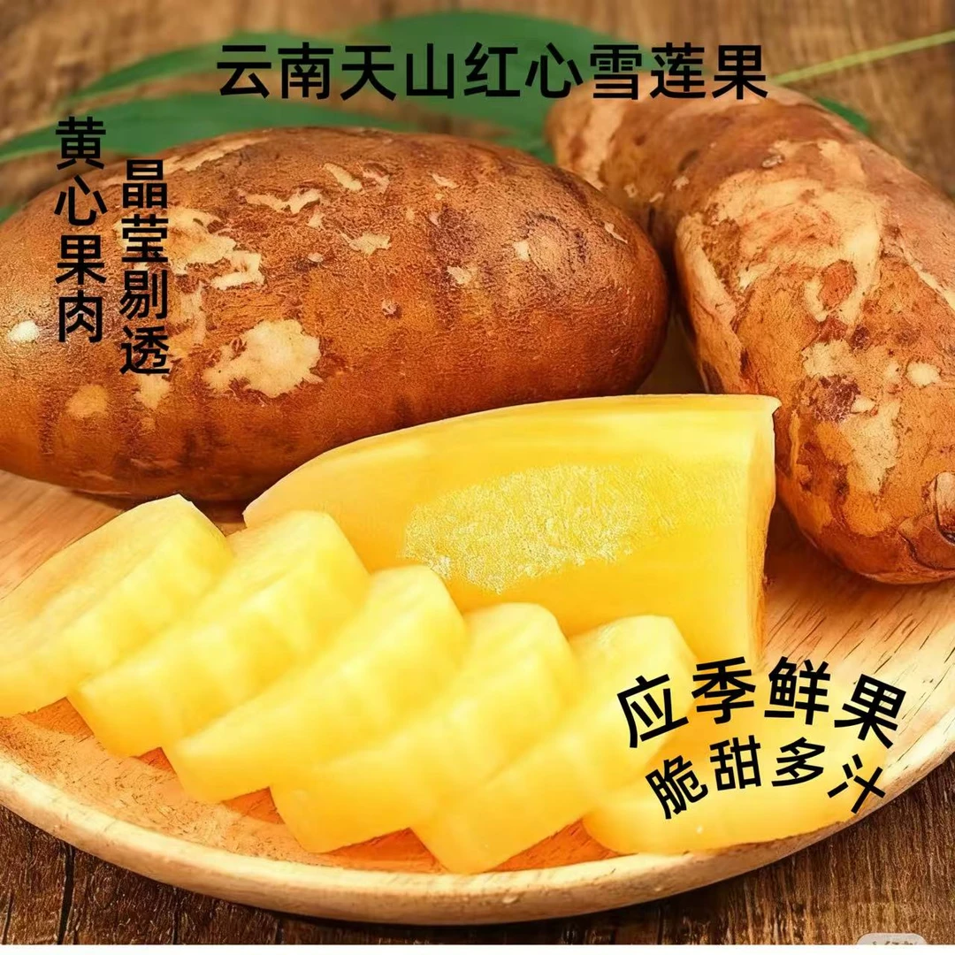 云南天山雪莲果黄心新鲜应季水果清甜脆爽多汁现挖产地包邮
