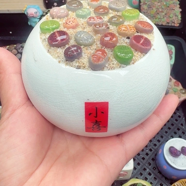 828零下地区记得拍保温箱满18包邮