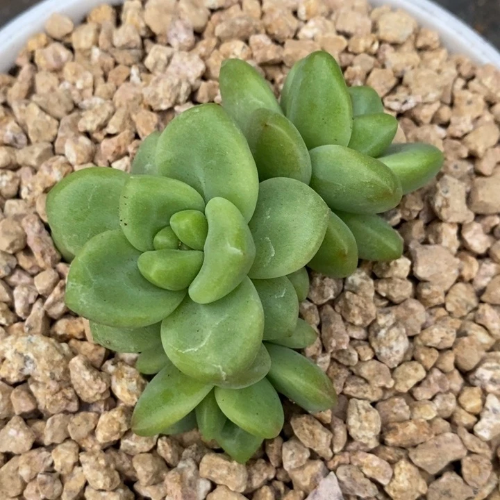 上****?我是真的很喜欢