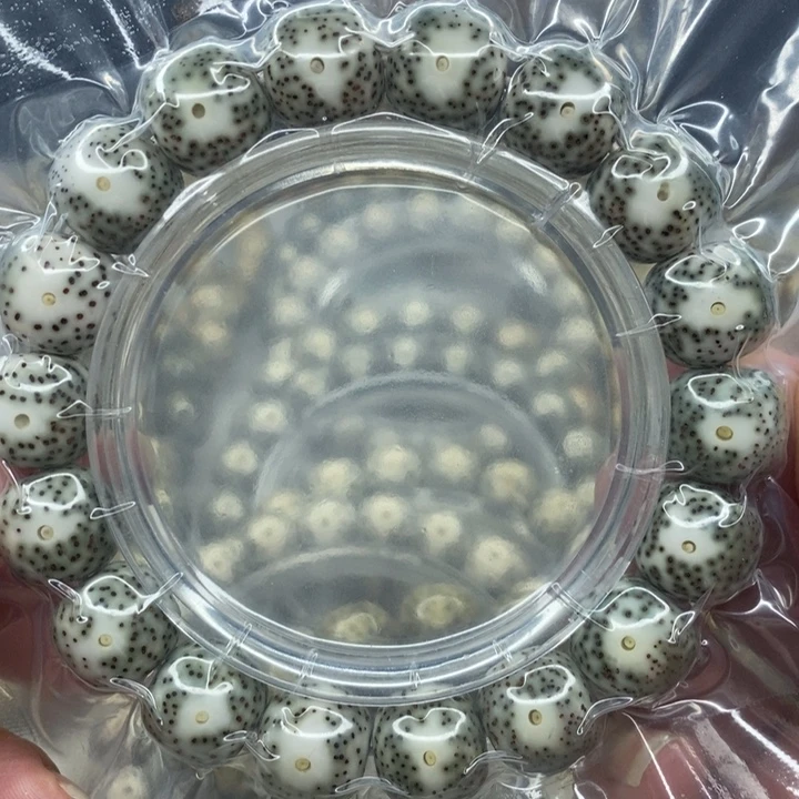 ****手串星月菩提13石玉润小细星