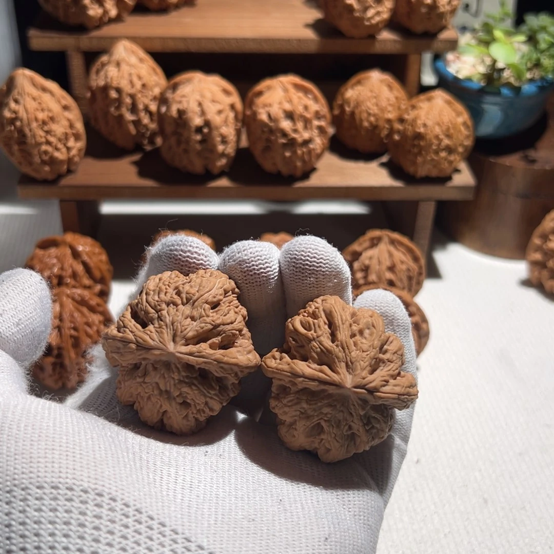 核桃全品无修 43大粗筋 肚差尺