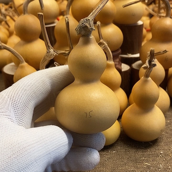 文玩葫芦 完美主义者 慎拍75