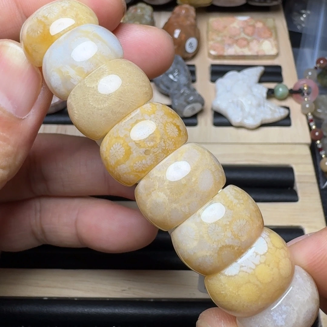 未镶嵌纯天然色有机玉石保真色硅化玉