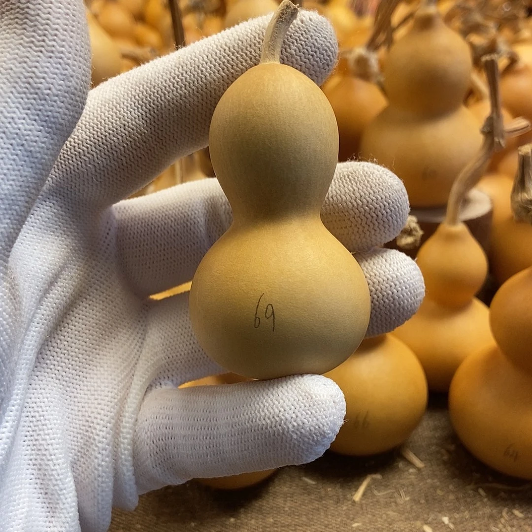 文玩葫芦 完美主义者 慎拍69