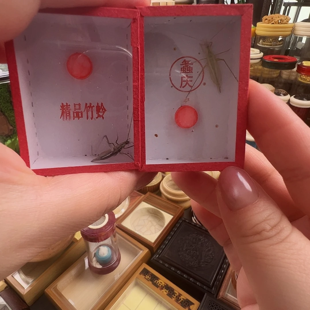 哈哈哈蟋蟀紫竹➕柬埔寨