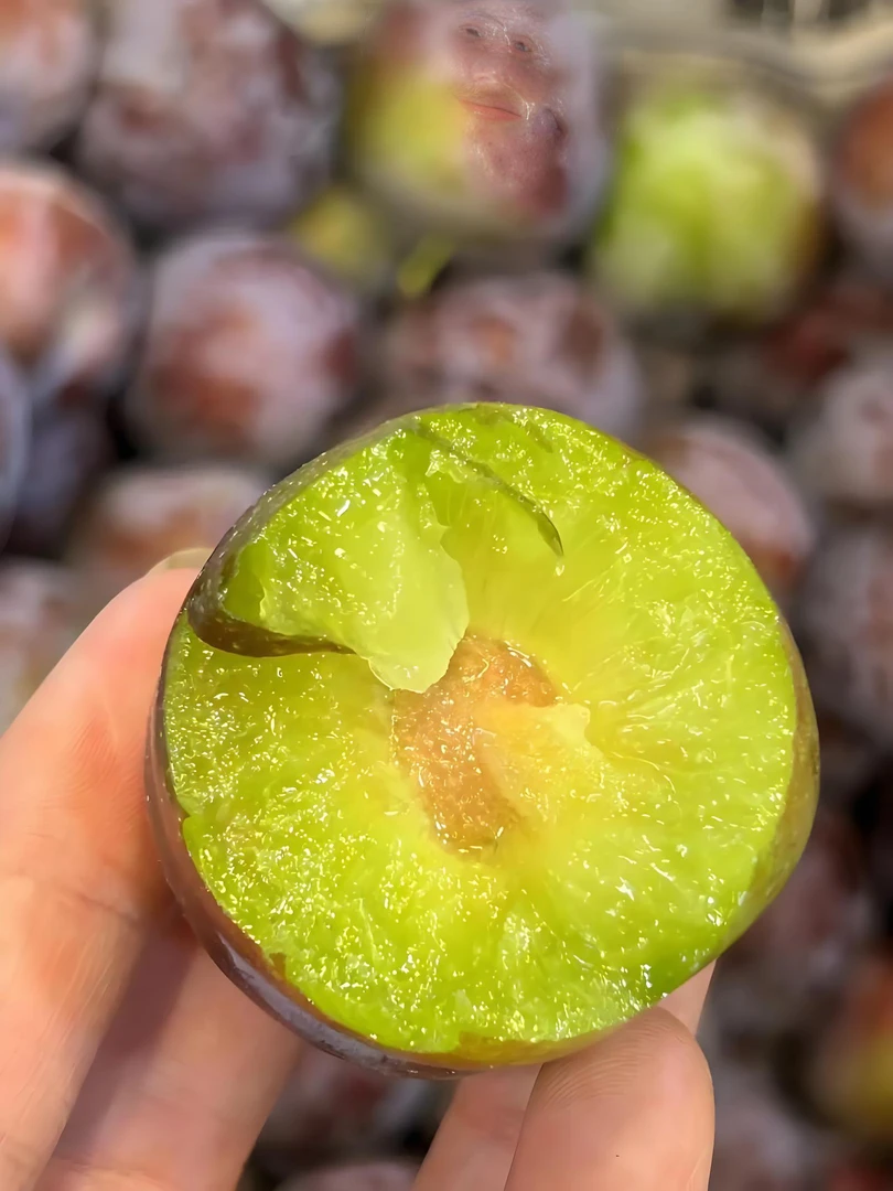 五月脆李子新鲜采摘顺丰包邮重庆现摘现发脆甜口感