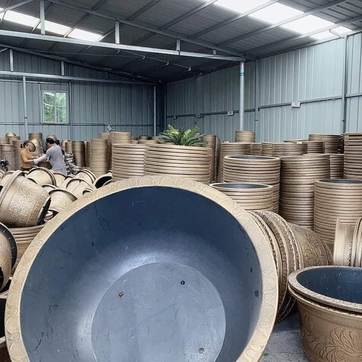 梅花照眼 依然旧风味