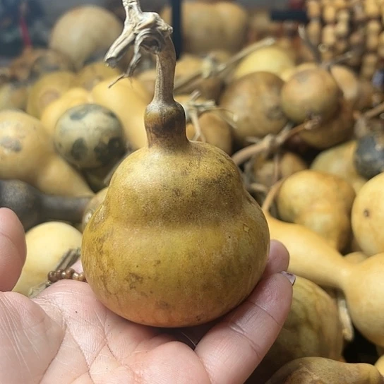 根***繁葫芦葫芦葫芦葫芦