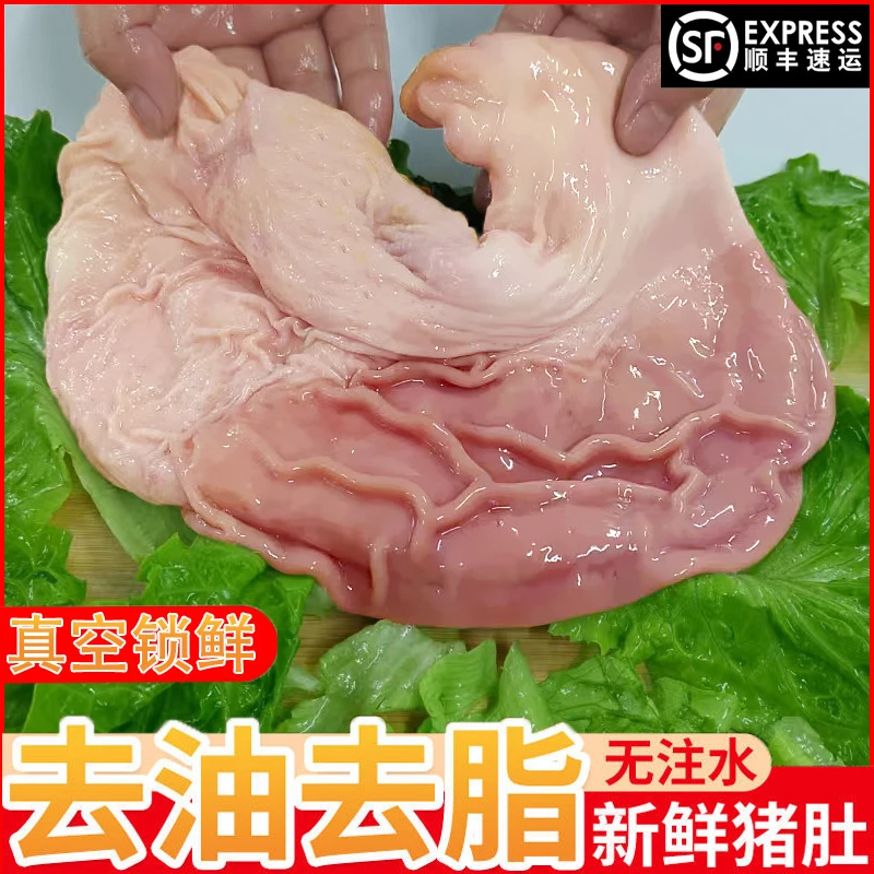 【顺丰】新鲜大猪肚农家散养猪生鲜整猪肚子猪胃猪肚鸡冷冻食品滋补