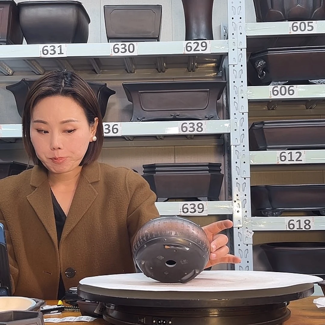 树***人紫砂花盆宜兴紫砂28号