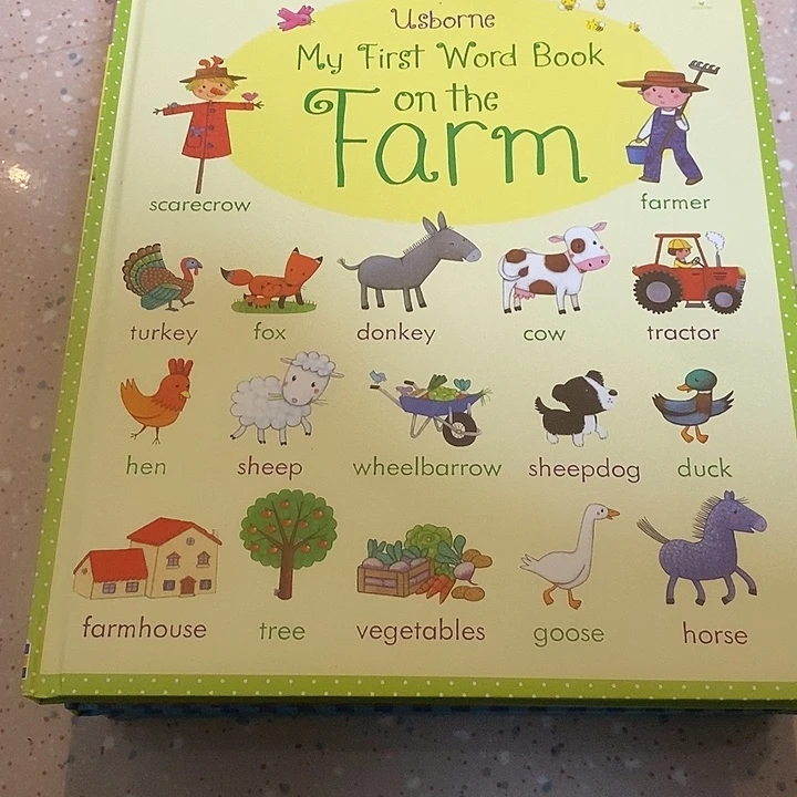 单词大书五本，一套，直板书有一本点读不了