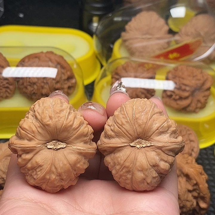 41全品南瓜
