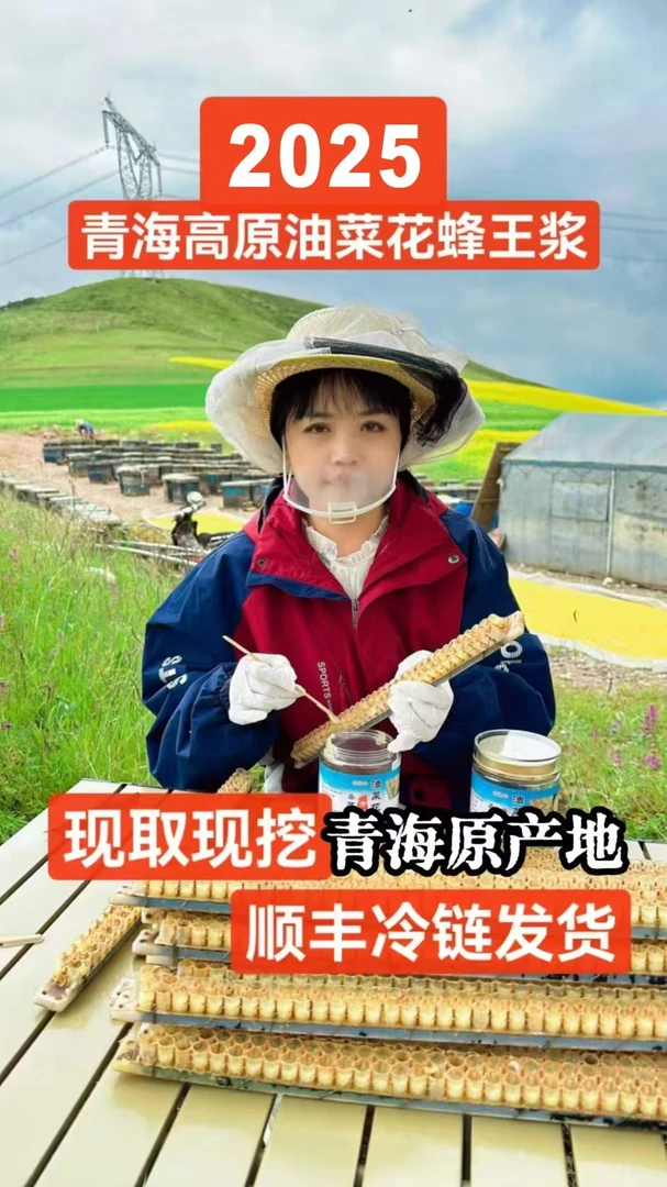 【2瓶青海蜂王浆】青海高原油菜花蜂王浆营养活性蜂皇浆品质