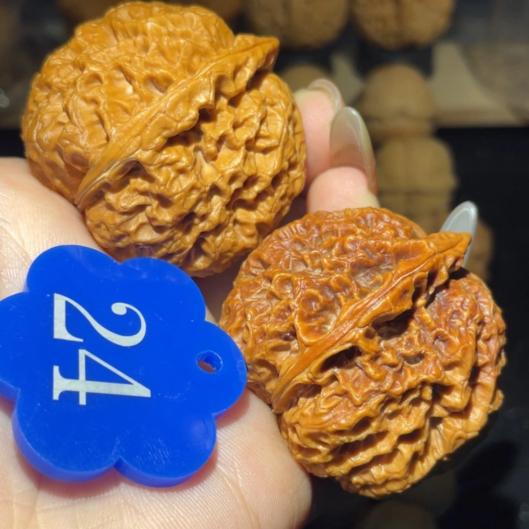 七彩太湖石43尺寸核桃