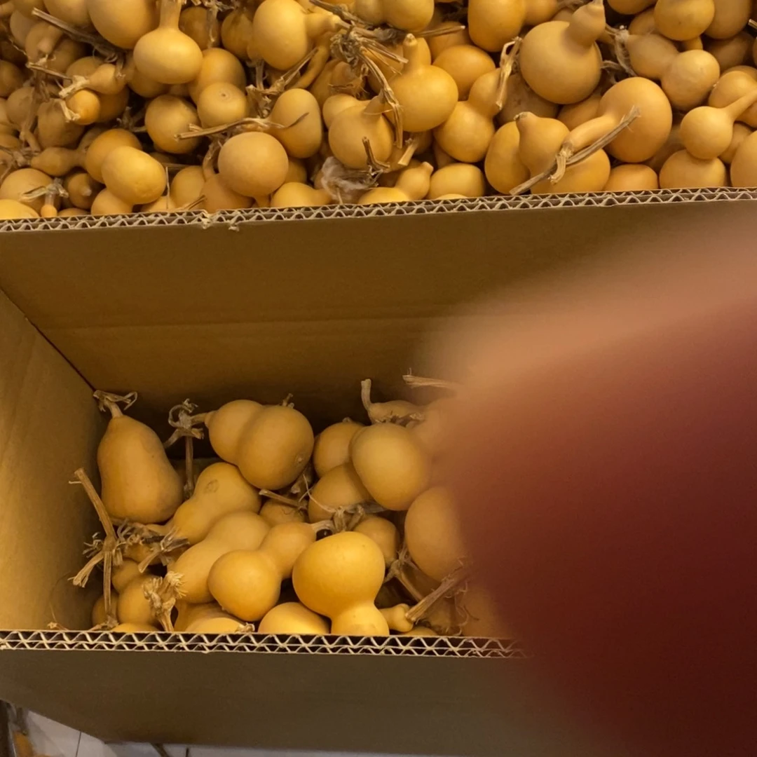 金**起精品手把包邮到家