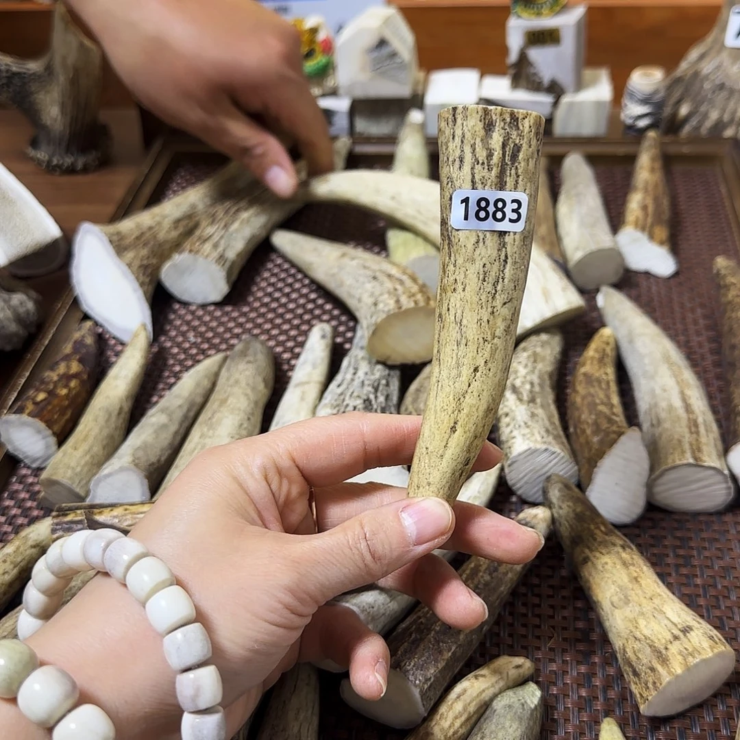 手串/手链鹿骨1883角尖