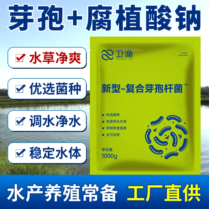 【水草净爽】复合芽孢杆菌水产养殖虾蟹塘水草挂脏的原因及处理方法